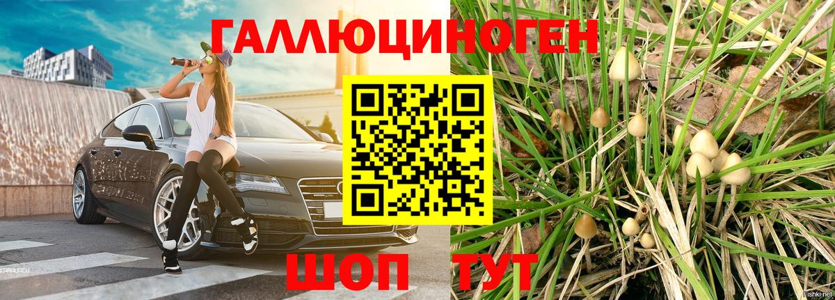 Галлюциногенные грибы Cubensis  Галлюциногенные грибы мухоморы  Вход с VPN  Аксай 